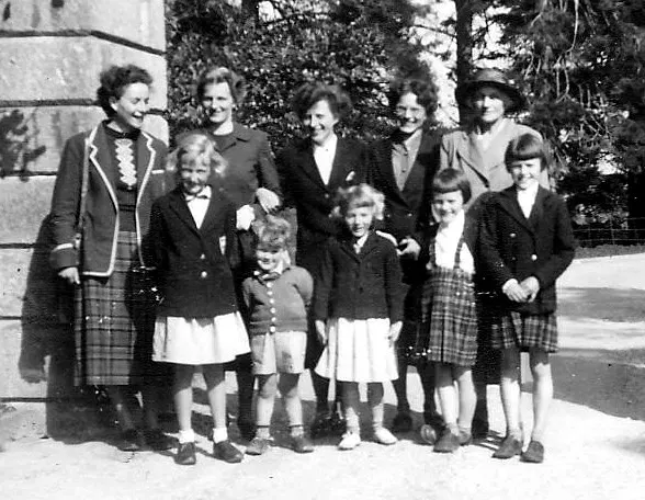 dartbridge groups 0001